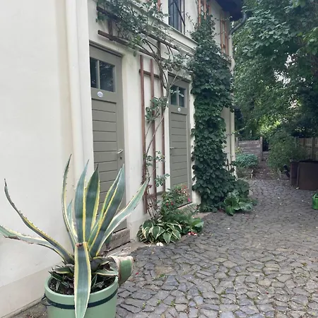 Adams * Görlitz